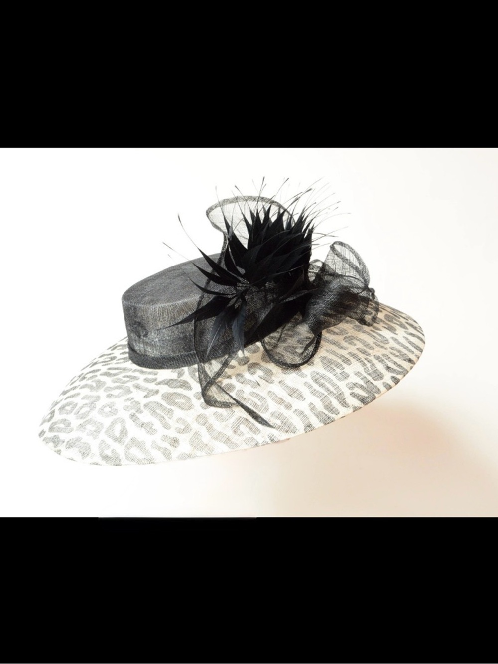 Wide Brim Kentucky Derby Hat